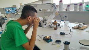 Kauan analisando amostra em um microscópio 
